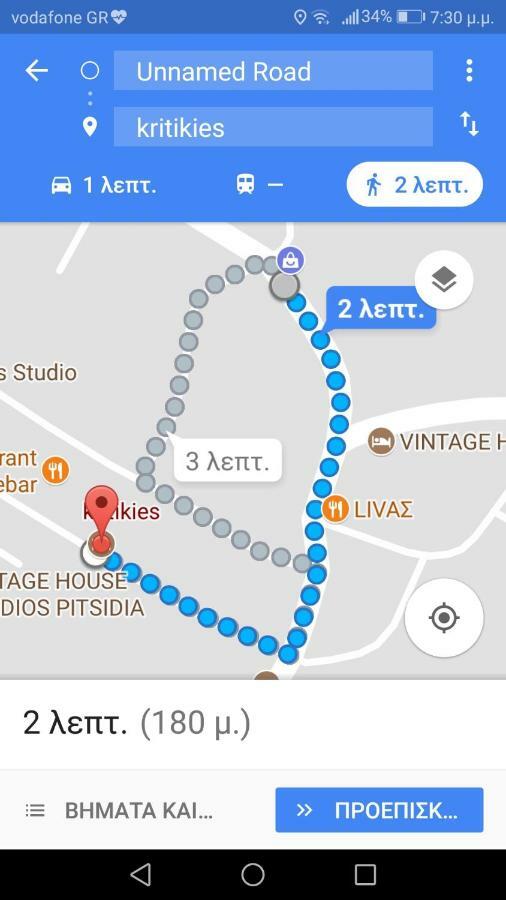 Kritikies Apartment Pitsidia Bagian luar foto